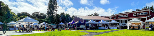 Landscape view of farmers market on the Big Island.