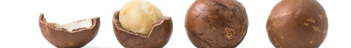 Mac nuts in different stages of shelled.